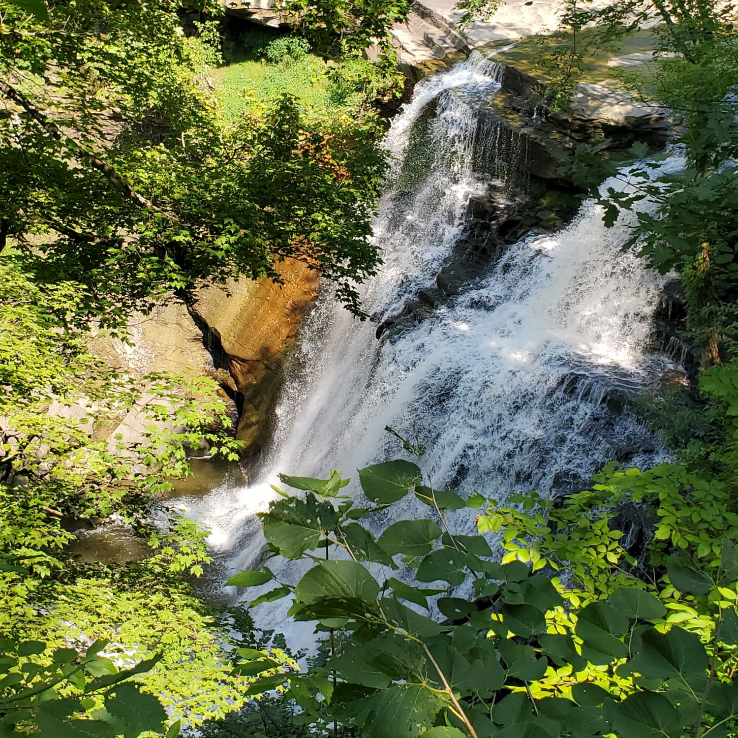 Stanford and Brandywine Gorge Trails 